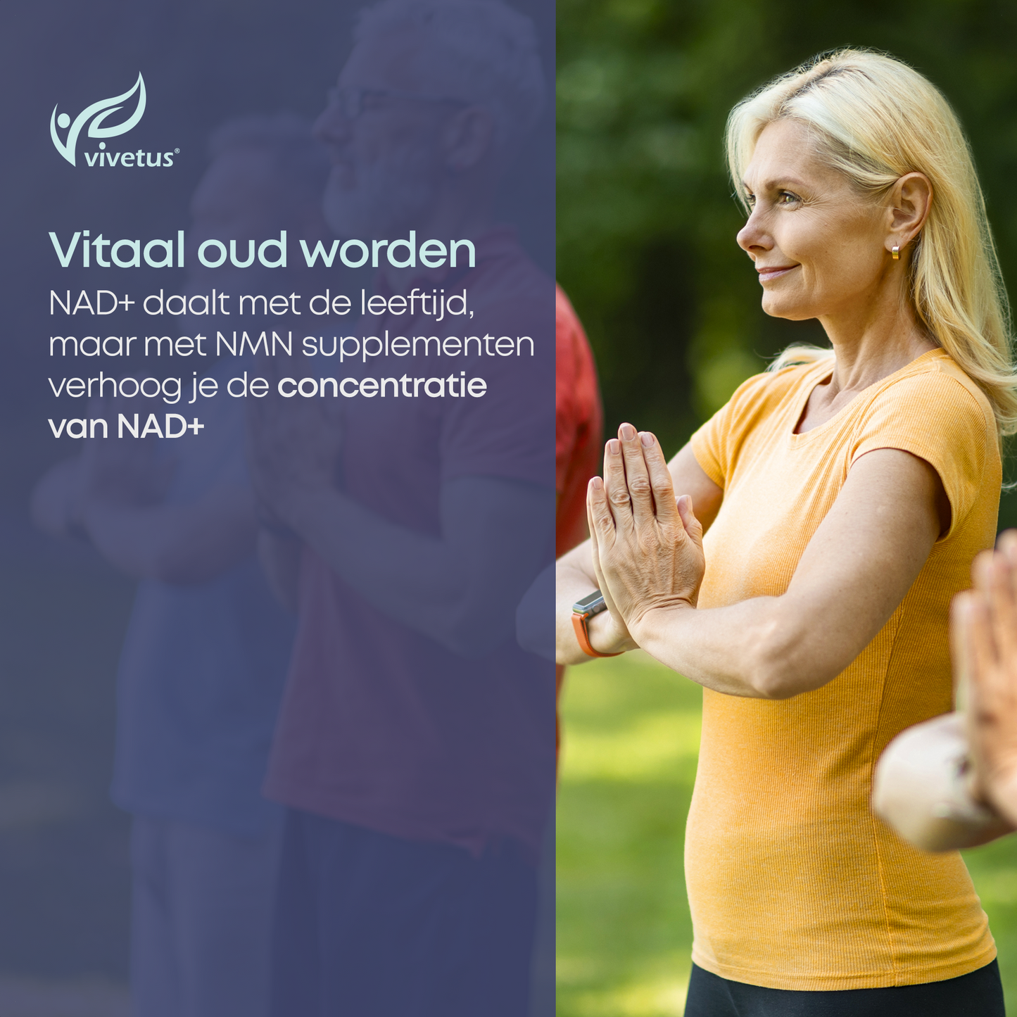 Poudre Vivetus® NMN